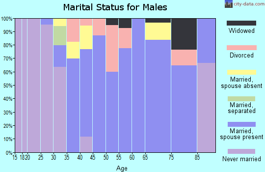 Zip code 07606 marital status for males