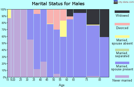 Zip code 07640 marital status for males
