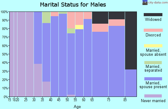Zip code 07641 marital status for males