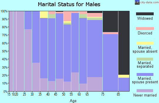 Zip code 07656 marital status for males
