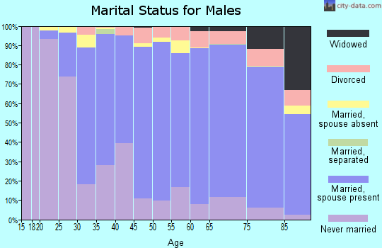 Zip code 07666 marital status for males