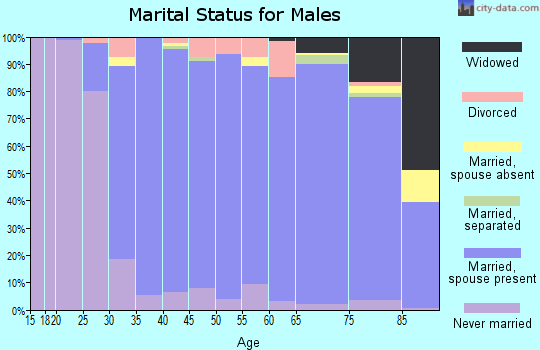 Zip code 07675 marital status for males