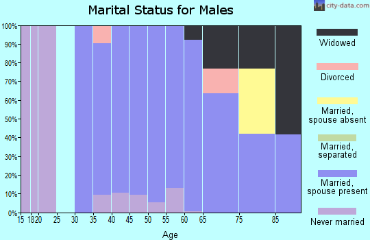 Zip code 07704 marital status for males
