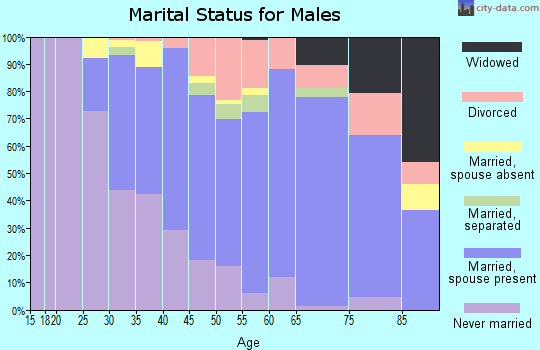 Zip code 07719 marital status for males