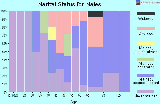 Zip code 07720 marital status for males