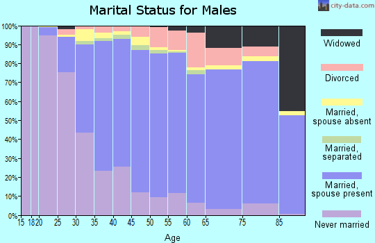Zip code 07728 marital status for males