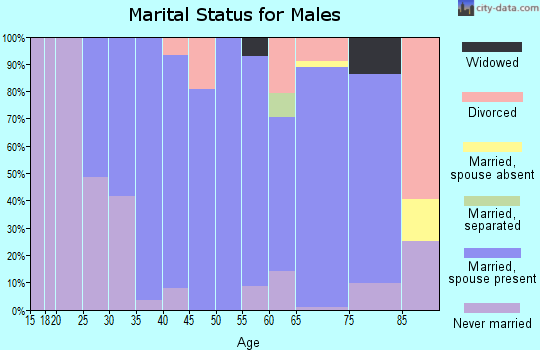 Zip code 07738 marital status for males
