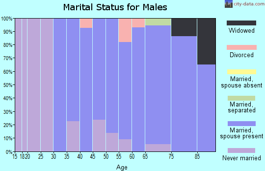 Zip code 07739 marital status for males