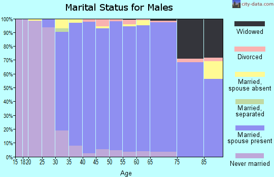 Zip code 07746 marital status for males