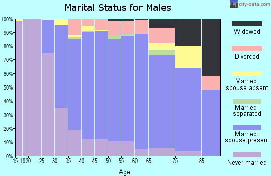 Zip code 07747 marital status for males