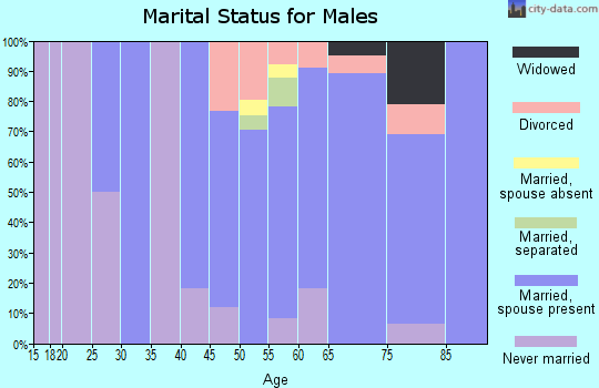 Zip code 07750 marital status for males