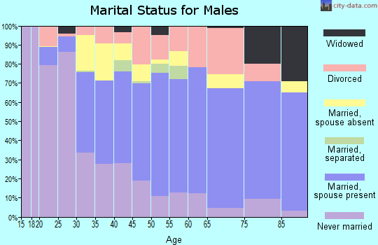 Zip code 07801 marital status for males