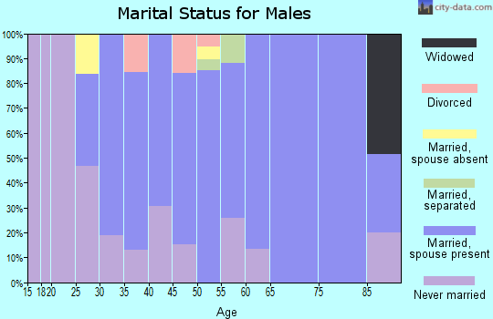 Zip code 07803 marital status for males