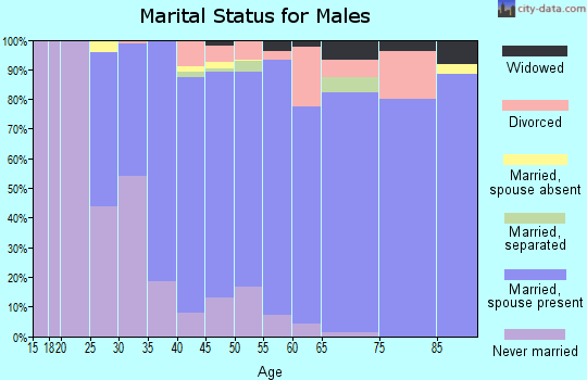 Zip code 07821 marital status for males