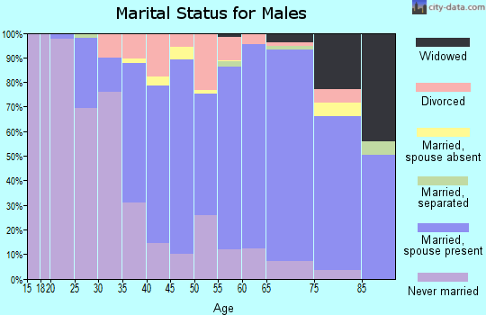 Zip code 07823 marital status for males