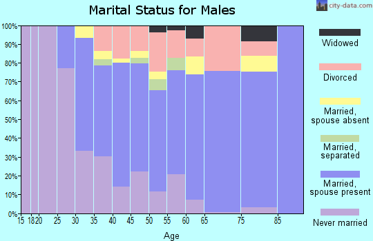 Zip code 07828 marital status for males