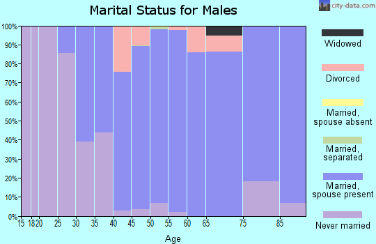 Zip code 07830 marital status for males