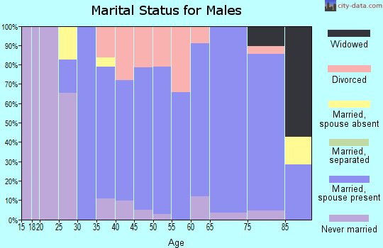 Zip code 07832 marital status for males