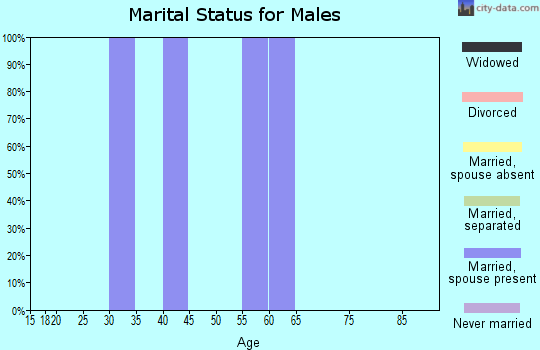 Zip code 07833 marital status for males