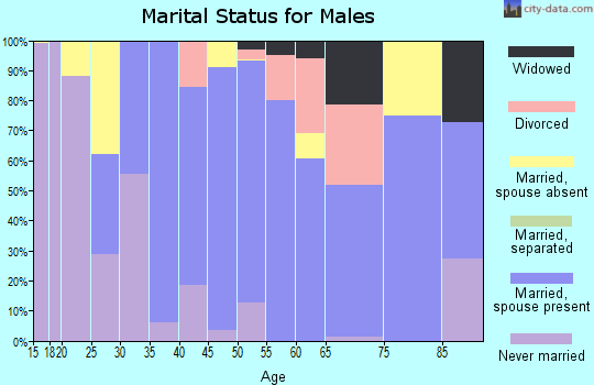 Zip code 07838 marital status for males