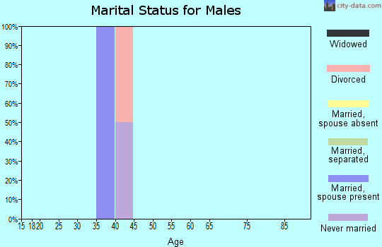 Zip code 07842 marital status for males
