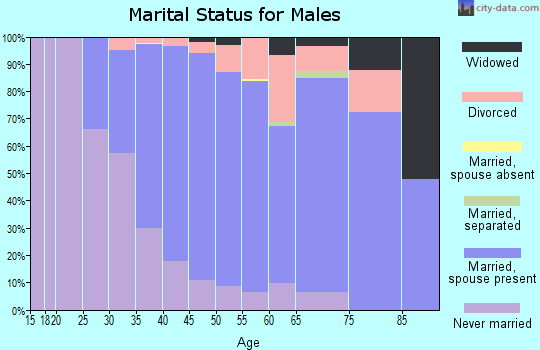 Zip code 07843 marital status for males