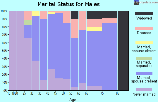 Zip code 07849 marital status for males