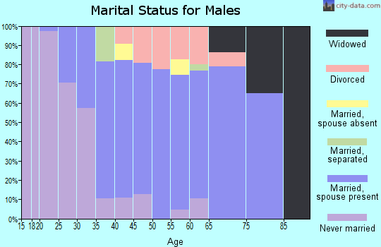 Zip code 07850 marital status for males