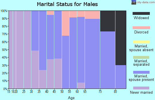 Zip code 07856 marital status for males