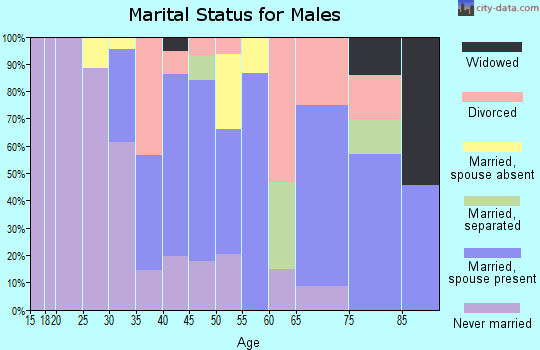 Zip code 07857 marital status for males