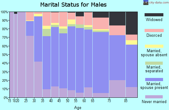 Zip code 07860 marital status for males