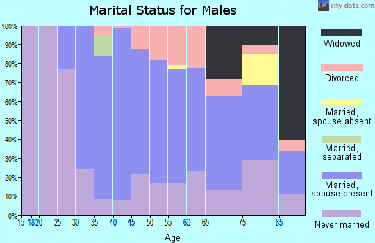 Zip code 07863 marital status for males