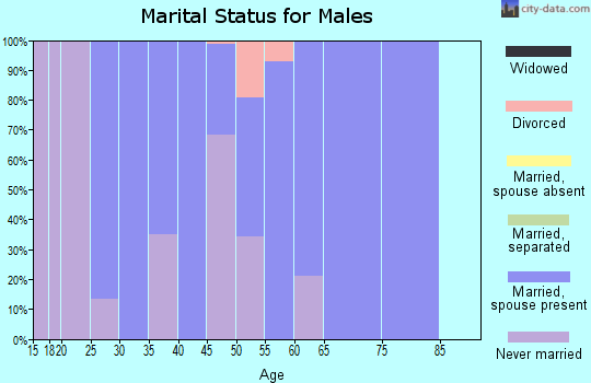 Zip code 07865 marital status for males