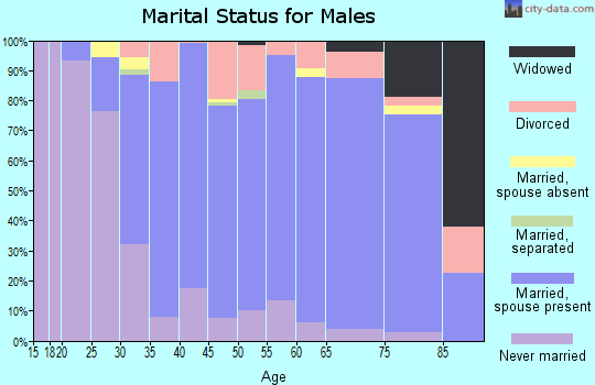 Zip code 07866 marital status for males
