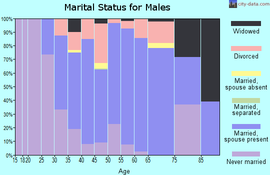 Zip code 07874 marital status for males