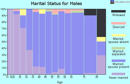Zip code 07876 marital status for males
