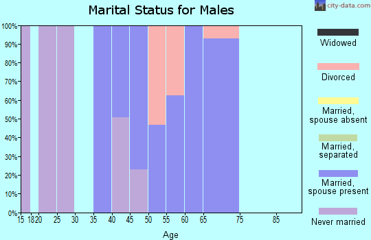 Zip code 07878 marital status for males