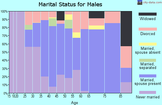 Zip code 07885 marital status for males