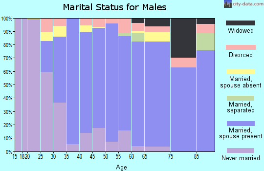 Zip code 07901 marital status for males