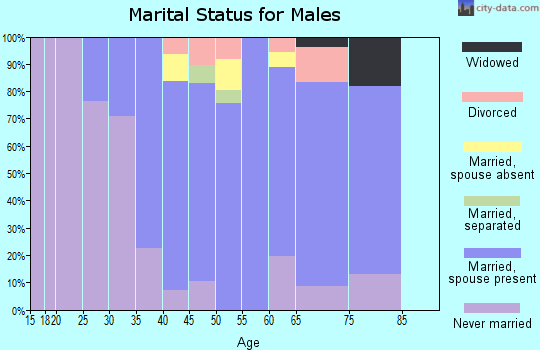 Zip code 07924 marital status for males