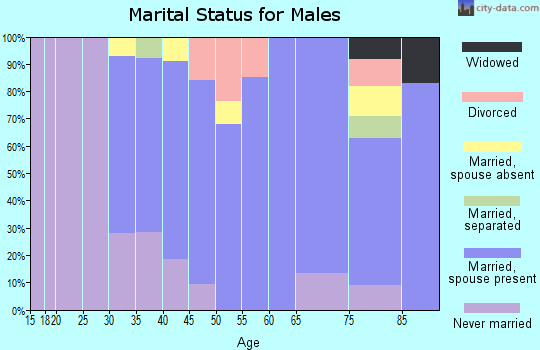 Zip code 07927 marital status for males