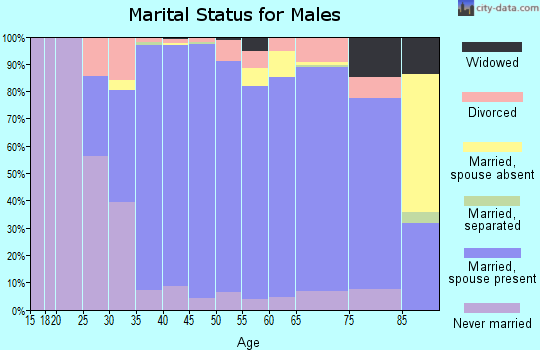 Zip code 07928 marital status for males