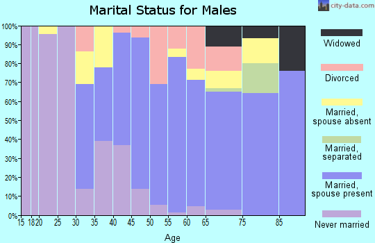 Zip code 07931 marital status for males