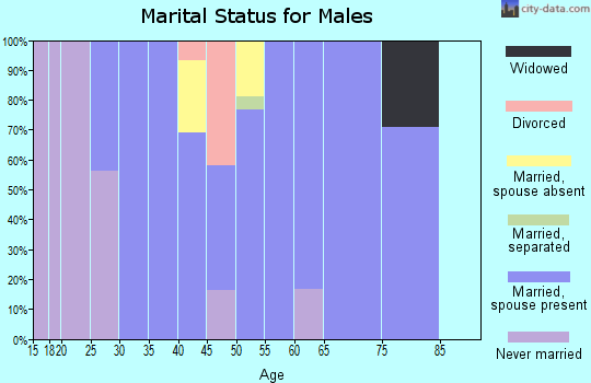 Zip code 07934 marital status for males