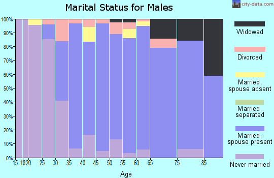 Zip code 07936 marital status for males
