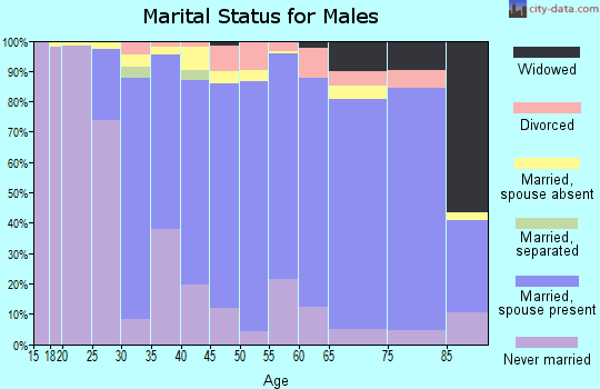 Zip code 07940 marital status for males