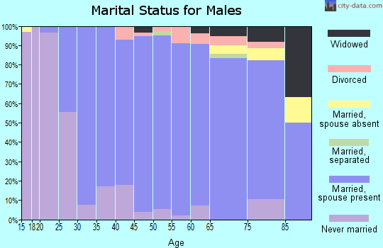 Zip code 07945 marital status for males