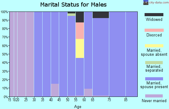 Zip code 07946 marital status for males