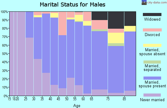 Zip code 07950 marital status for males