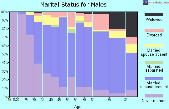 Zip code 07960 marital status for males